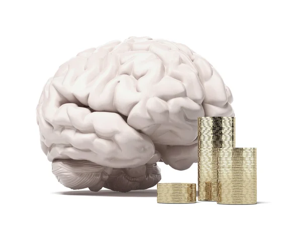 Brain and coins — Stock Photo, Image