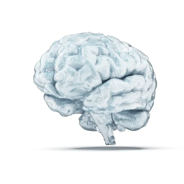Frozen brain — Stock Photo, Image