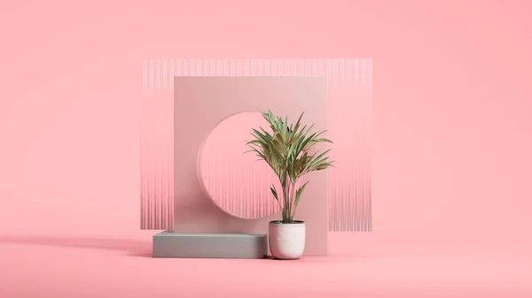 Pink wall with round hole and pale gray podium display on pink background with small exotic plant. Copy space. Empty space. Minimal design. 3d rendering. — Stock Photo, Image