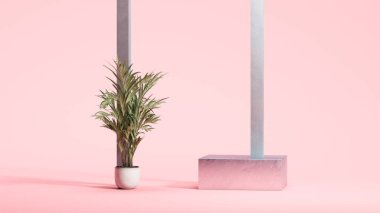 Pastel pembe arka planda, küçük palmiye ağacının yanında, gradyan pembe kare podyum. Minimum tasarım. 3d oluşturma.