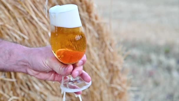 Een biertje. Cold Craft light Bier in een glas met waterdruppels. — Stockvideo