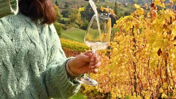 Vino blanco. Una mujer vierte una copa de vino en las colinas de Italia durante la temporada de cosecha. Alrededor de un viñedo con follaje amarillo. — Vídeos de Stock