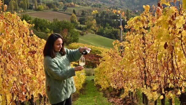Botol dan segelas anggur di tangan wanita. Seseorang menuangkan gelas anggur di perbukitan Italia. Kebun anggur emas di musim gugur. Italia. Tuscany — Stok Video