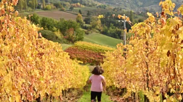 Little girl runs in the hills, the sun is shining and around the vineyards — Stock Video