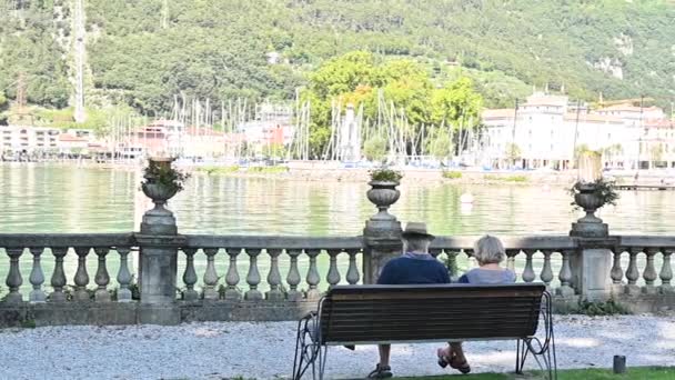 Paar oude mannen voor een wandeling — Stockvideo