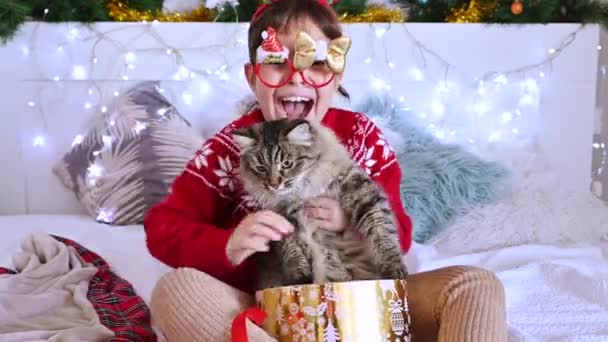 Weihnachtsmädchen, die Geschenke auspacken. Eine Katze als Geschenk für ein Kind. Glückliche Gefühle eines Kindes im Urlaub. — Stockvideo