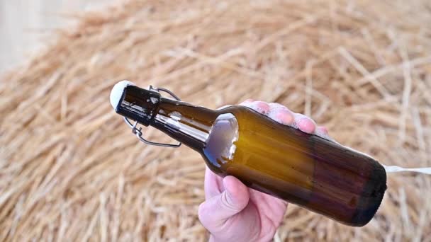 Κρύα Craft φως Μπύρα στο μπουκάλι με σταγόνες νερού. — Αρχείο Βίντεο