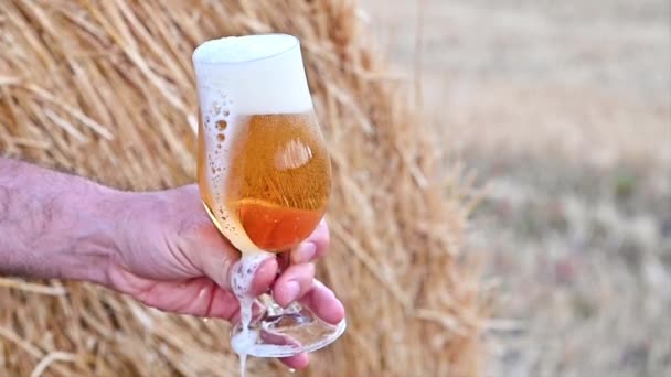 Birra. Birra leggera artigianale fredda in un bicchiere con gocce d'acqua. — Video Stock