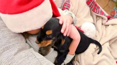 Noel kızı ve köpek yavrusu. Bir çocuk için hediye.
