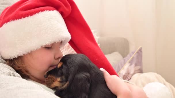 Vánoční holčička a štěně. Dárek pro dítě. — Stock video