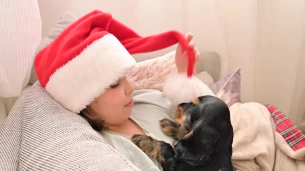 Mała świąteczna dziewczynka i cocker spaniel szczeniak. Szczęśliwe dziecko w kapeluszu Mikołaja trzyma psa w rękach — Wideo stockowe