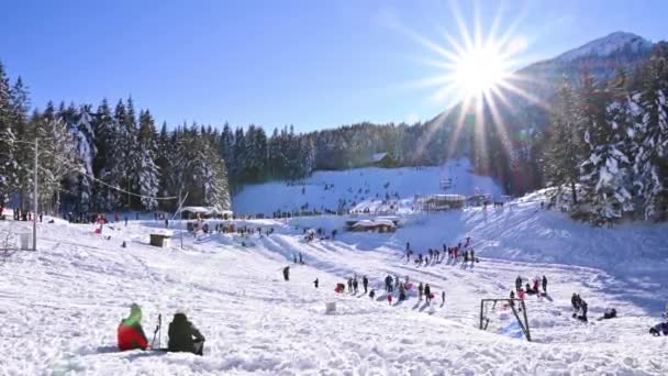 Narciarstwo alpejskie. Włoskie Alpy. Słynny ośrodek narciarski. Stok ośrodka narciarskiego na rodzinne wakacje. Słońce świeci w ramę. — Wideo stockowe