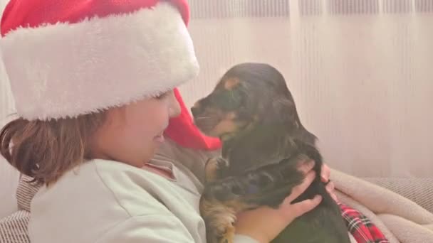 Klein kerstmeisje en cocker spaniël puppy. Gelukkig kind in een kerstmuts houdt een hond in zijn handen — Stockvideo