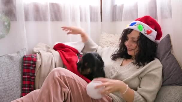 4k A small black puppy is playing with a Christmas hat in the arms of a girl. Cocker spaniel english in a cozy house decorated for christmas. — Stock video