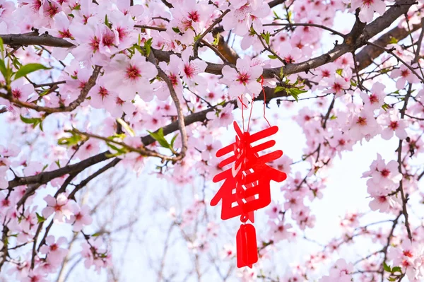 Un hiéroglyphe traditionnel en tissu chinois pour le Nouvel An chinois, suspendu à une branche d'une amande en fleurs. Carte postale pour les vacances dans l'est — Photo