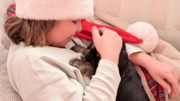 Malá vánoční holčička a kokršpaněl štěně. Šťastné dítě v Santa klobouku drží psa v rukou — Stock video