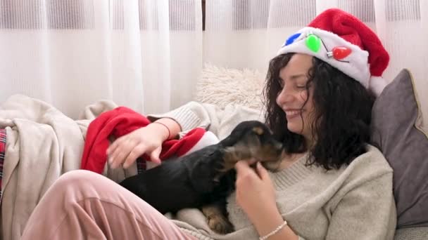 4k A small black puppy is playing with a Christmas hat in the arms of a girl. Cocker spaniel english in a cozy house decorated for christmas. — Vídeo de Stock