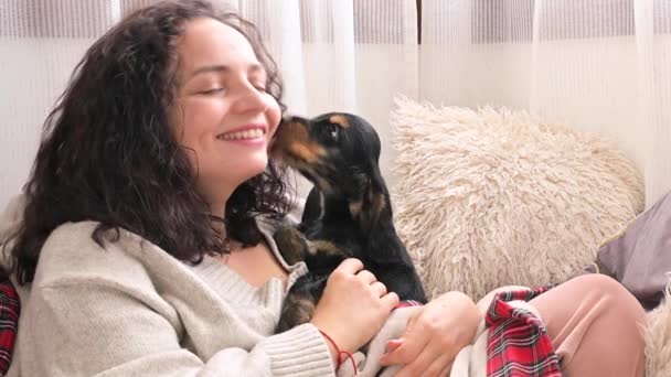 A woman with a puppy hugs and plays in a light room close-up. Middle-aged brunette woman laughs and Little black pet Cocker Spaniel in real moment. Close-up — Vídeo de Stock
