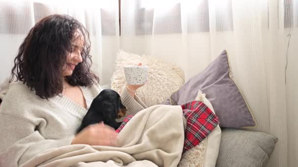 Woman is drinking coffee and a little Cocker Spaniel puppy is playing in her hands. Calm morning In a bright room with a pet. — Vídeo de Stock