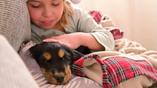 Christmas girl and puppy. A gift for a child — Stockvideo