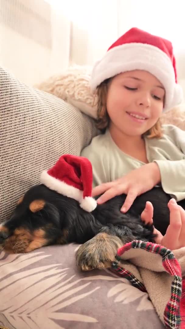 Pequena menina de Natal e cocker spaniel filhote. Criança feliz em um chapéu de Papai Noel segura um cão em suas mãos — Vídeo de Stock