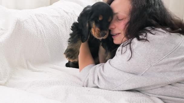 Svart Cocker Spaniel valp 2 månader gammal, leker han och biter ägaren, I den ljusa interiören i ett mysigt hem. — Stockvideo