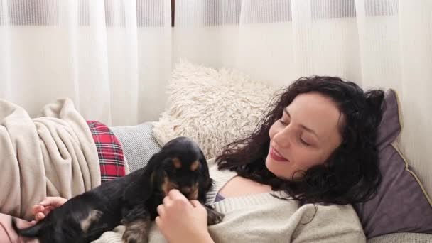 Černý kokršpaněl štěně 2 měsíce, hraje a kouše majitele, v jasném interiéru útulný domov. — Stock video