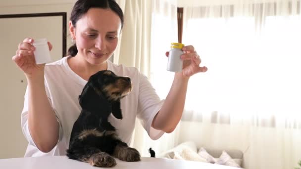 En liten valp med ägare och mediciner i händerna. Husdjuret tar vitaminer för hälsan. Cocker spaniel och kvinna hemma. — Stockvideo