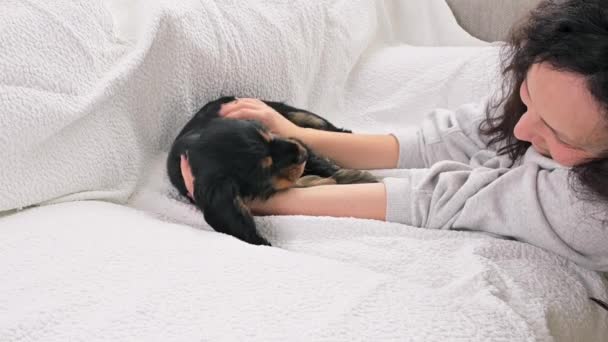 Zwart Cocker Spaniel puppy 2 maanden oud, hij speelt en bijt de eigenaar, In het heldere interieur van een gezellig huis. — Stockvideo