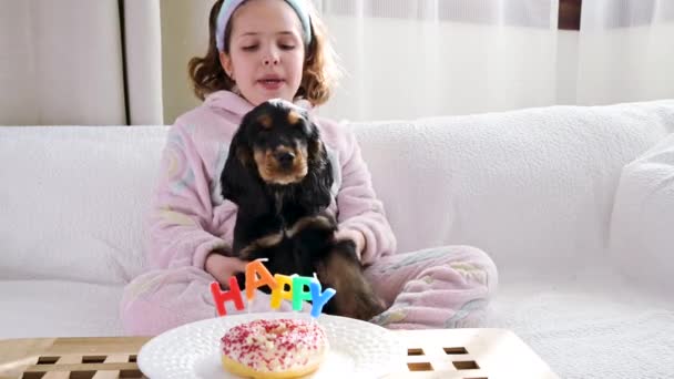 Piccolo nero Cocker Spaniel cucciolo celebra un compleanno, con proprietario. Vacanza per animali domestici e dessert con candele parola FELICE. — Video Stock