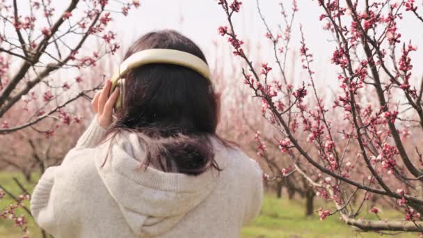 Een jonge vrouw luistert naar muziek op de koptelefoon en mediteert, ze is in het voorjaar in een bloeiende tuin. Een heerlijk moment van ontspanning en rust. Vrede en eenheid met de natuur. — Stockvideo