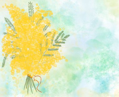 Mimosa çiçekleri 8 Mart 'ta İtalya' da anneler gününde. Mimoza suluboyalı kartpostal. Avrupa 'daki kadınların sembolü. 