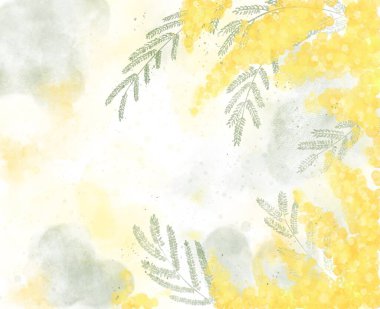 Mimosa çiçekleri 8 Mart 'ta İtalya' da anneler gününde. Mimoza suluboyalı kartpostal. Avrupa 'daki kadınların sembolü. 