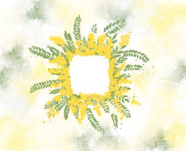 Mimosa çiçekleri 8 Mart 'ta İtalya' da anneler gününde. Mimoza suluboyalı kartpostal. Avrupa 'daki kadınların sembolü. 