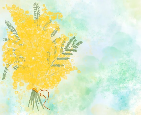 Mimosa çiçekleri 8 Mart 'ta İtalya' da anneler gününde. Mimoza suluboyalı kartpostal. Avrupa 'daki kadınların sembolü. 
