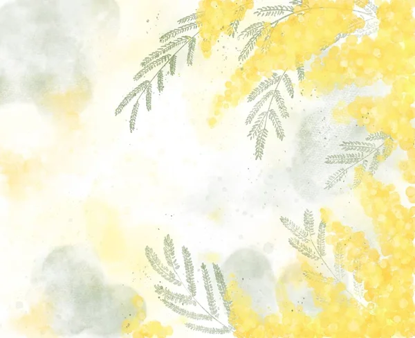 Mimosa çiçekleri 8 Mart 'ta İtalya' da anneler gününde. Mimoza suluboyalı kartpostal. Avrupa 'daki kadınların sembolü. 