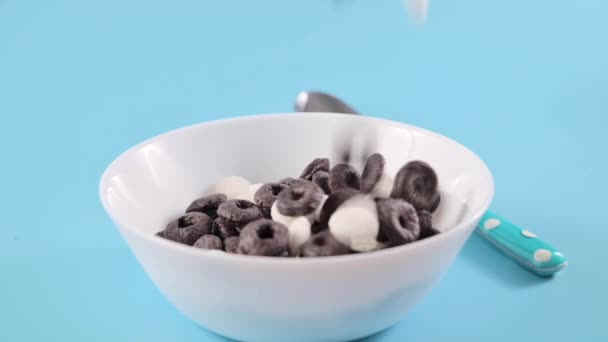 Dry breakfast in a bowl with milk. Dry breakfasts black and white creamy chocolate rings for childrens breakfast — Wideo stockowe