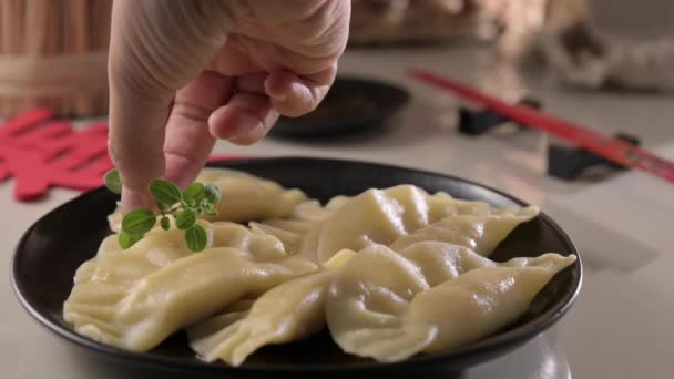 ディム 自家製中華餃子はブラックプレートで提供されています 箸で食べる 東洋料理 伝統的なランチの軽食 高品質4K映像 — ストック動画