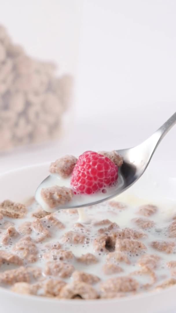 Zemelen Met Melk Gezond Ontbijt Met Bessen Vitaminen Hoge Kwaliteit — Stockvideo