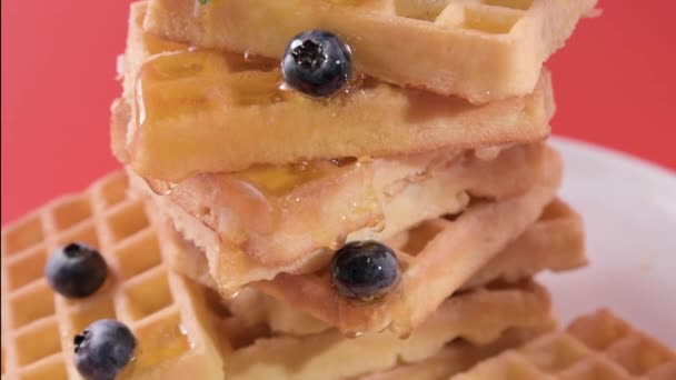 Belgian Waffles Fresh Dutch Pastries Honey Blueberries Breakfast Delicious High — Vídeos de Stock