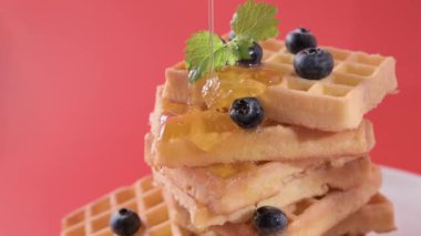 Belgian waffles. Fresh Dutch pastries with honey and blueberries for breakfast. Delicious high calorie breakfast. Modern seed on a red background. Video with product details. High quality 4k footage