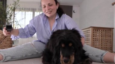 The owner cuts the dog. Dog afraid to get a haircut. Pet grooming, care and beauty. Black dog Cocker Spaniel and owner. High quality 4k footage. Copy space