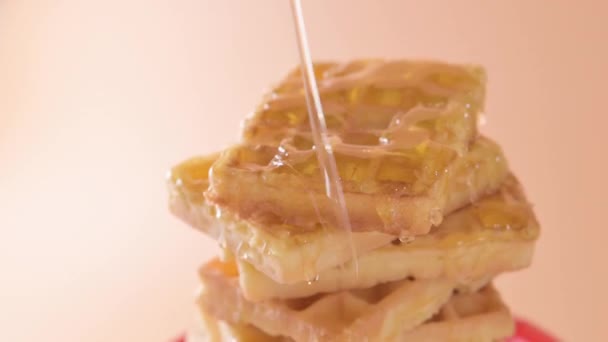 Belgian Waffles Soft Fluffy Waffles Honey Traditional Breakfast Holland Belgium — Video