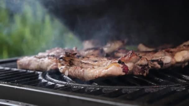 Grilled Meat Pork Ribs Fire Barbecue Open Space Man Turns — Stok video
