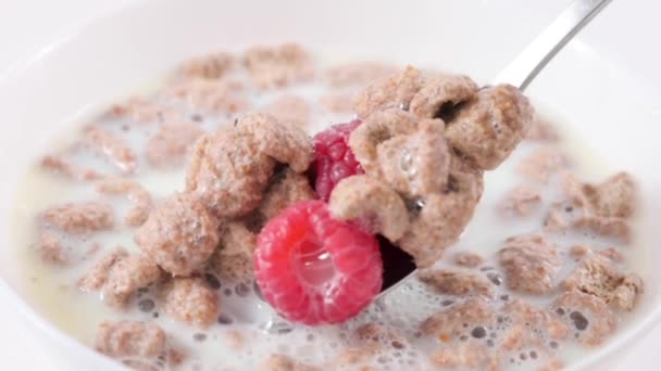 Tărâțe Lapte Mic Dejun Sănătos Granulat Fructe Pădure Vitamine Imagini — Videoclip de stoc