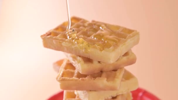 Belgian Waffles Soft Fluffy Waffles Honey Traditional Breakfast Holland Belgium — Stockvideo