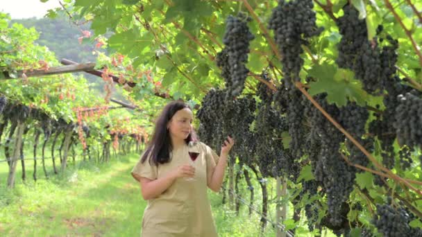 Młoda Piękna Kobieta Marzy Degustacja Czerwonego Wina Ciesząc Się Letnim — Wideo stockowe