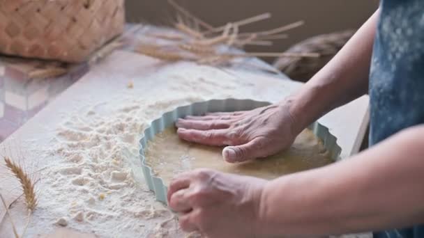 Manos Mujer Con Masa Una Persona Prepara Pasteles Caseros Partir — Vídeo de stock