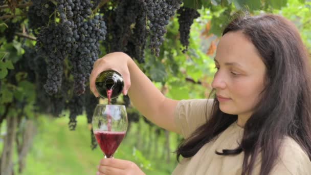 夏を楽しむ赤ワインを味わう夢の若い美しい女性は美しい晴れた日にブドウ畑に滞在 休暇中にブドウ畑で赤ワインを飲む女性 高画質映像 — ストック動画
