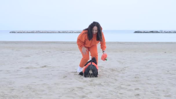 ハロウィーンの犬はビーチでカボチャの服を着ていました ブラック コッカー スパニエルはオーナーと一緒にお祝いの服で遊んでいます 秋の堤防と良い散歩 高品質4K映像 — ストック動画